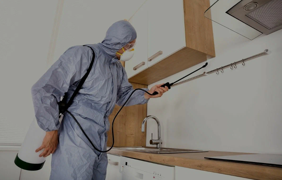 South Pasadena pest managment
